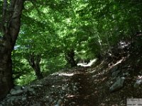 2026-06-20 Sopralluogo Trail Duchessa 099